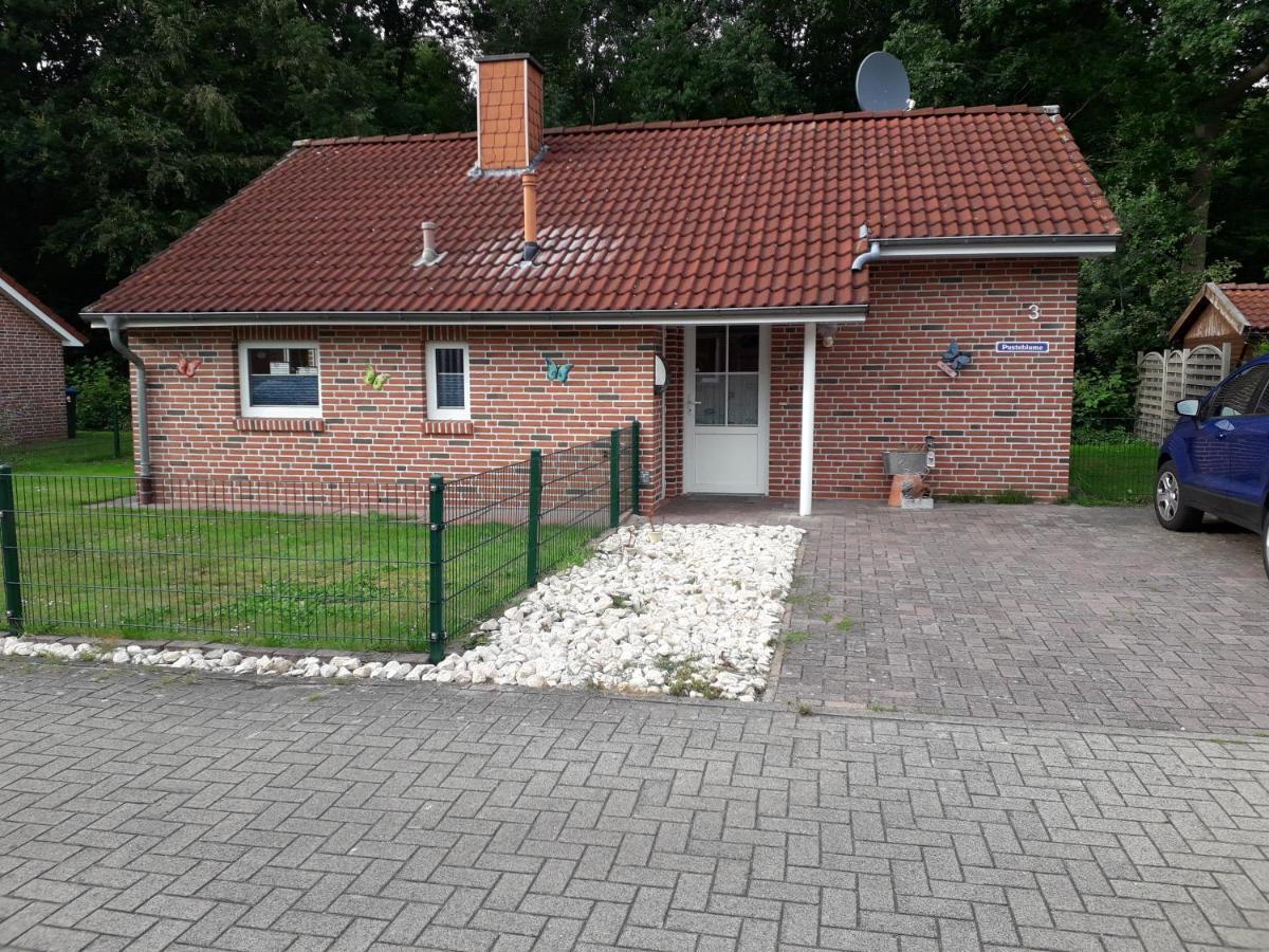 Ferienhaus Pusteblume Papenburg Eksteriør bilde